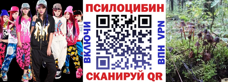 купить   MEGA онион  Галлюциногенные грибы прущие грибы  Уржум 